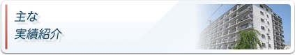 主な実績紹介